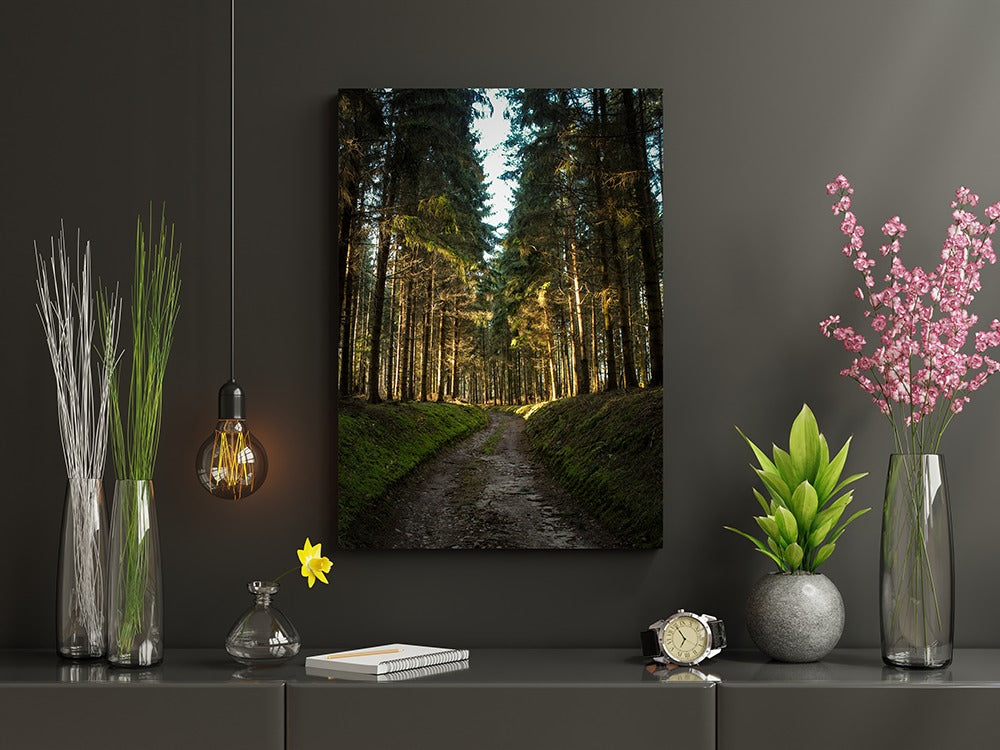 Enchanted Sunlit Forest Path | Canvas Wall Art | Catchy Gallery | CG-120