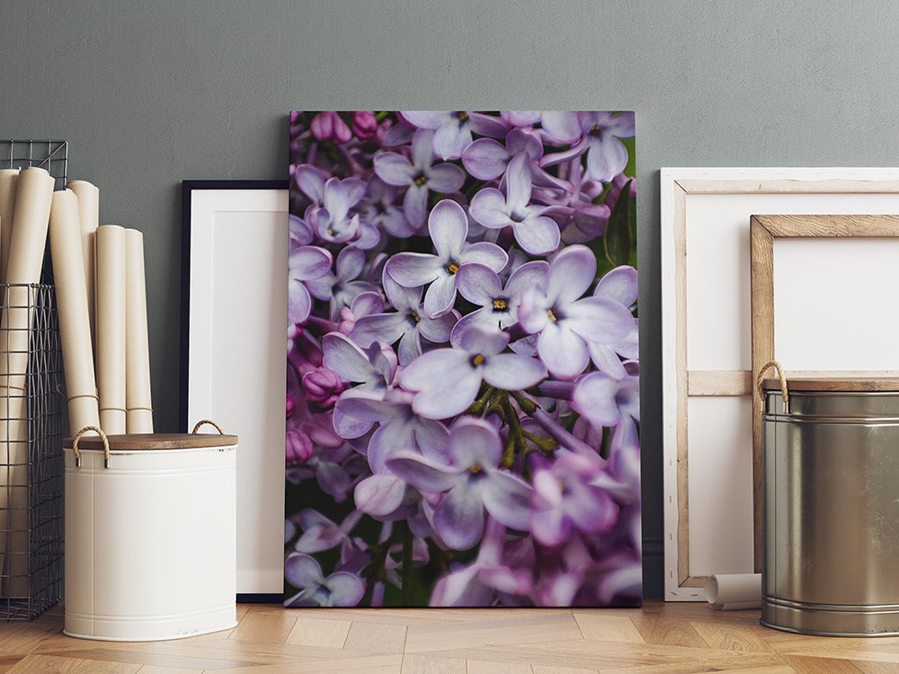 Lush Spring Lilac Blossom | Canvas Wall Art | Catchy Gallery | CG-129