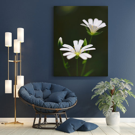 Delicate White Starry Wildflowers | Canvas Wall Art | Catchy Gallery | CG-130