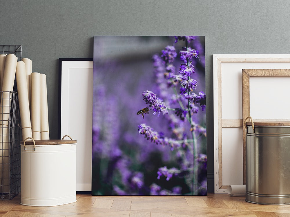 Honeybee on Lavender Blooms | Canvas Wall Art | Catchy Gallery | CG-133