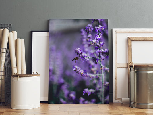 Honeybee on Lavender Blooms | Canvas Wall Art | Catchy Gallery | CG-133